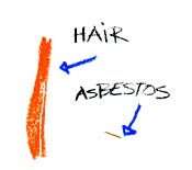 Graphic showing the size relationship between a hair and an Asbestos fiber